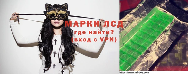 прущие грибы Абинск