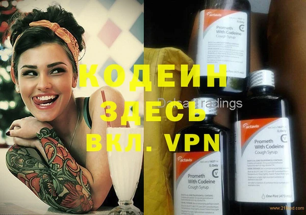 прущие грибы Абинск