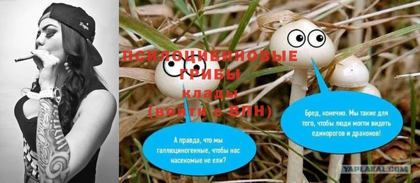амф Абаза
