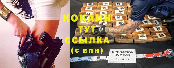 прущие грибы Абинск