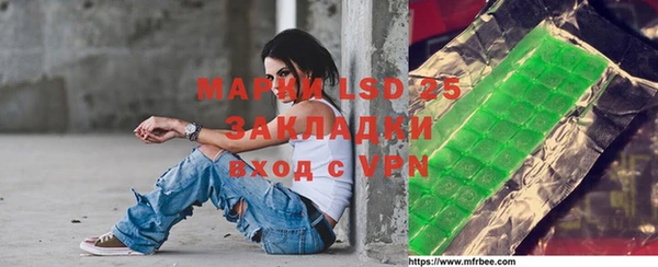 прущие грибы Абинск