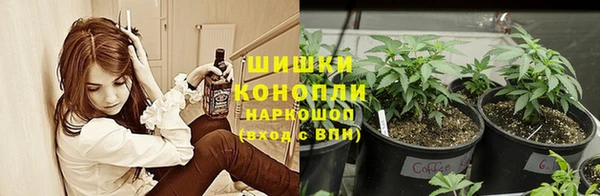 не бодяженный Алзамай