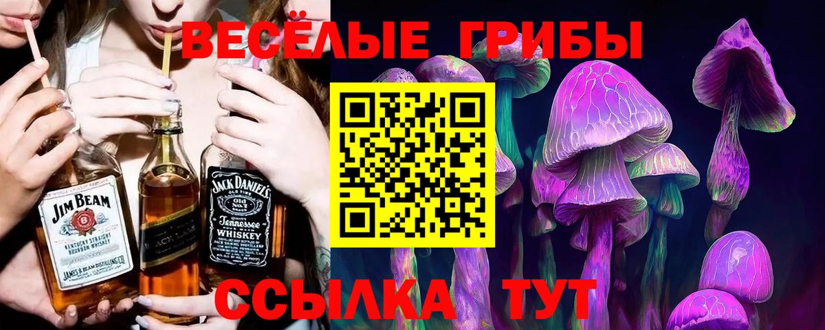 Галлюциногенные грибы Psilocybe  Псилоцибиновые грибы Magic Shrooms  Вход с VPN  Прохладный 