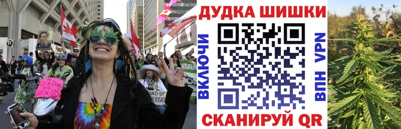 купить закладку  Прохладный  Бошки Шишки сатива 